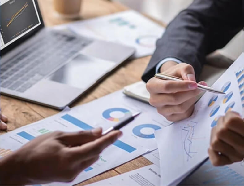 Efficient Tax Filing Assistance