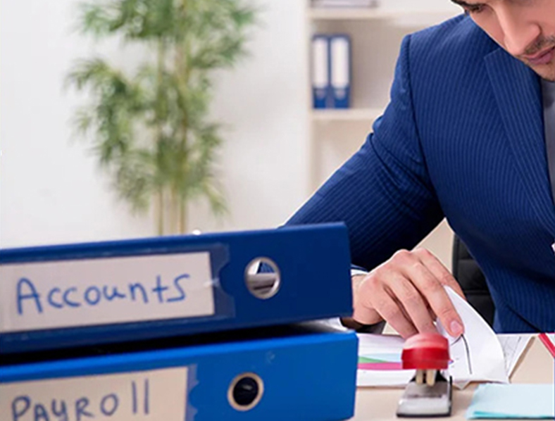 Customized Payroll Solutions